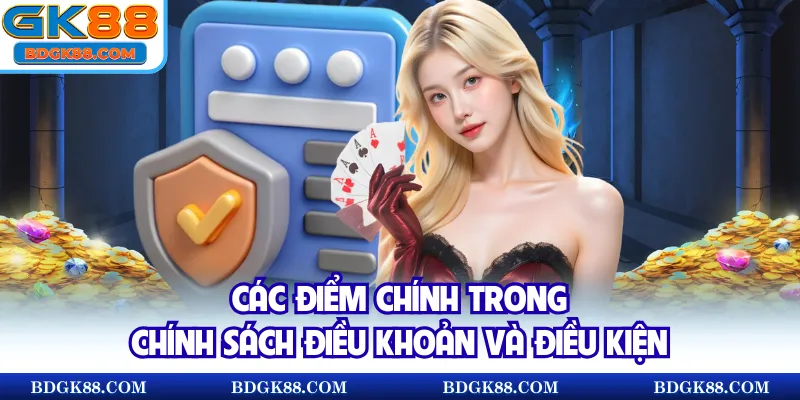 Các điểm chính trong chính sách điều khoản và điều kiện