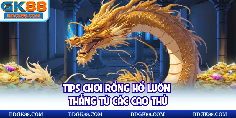 Tips chơi Rồng Hổ luôn thắng từ các cao thủ
